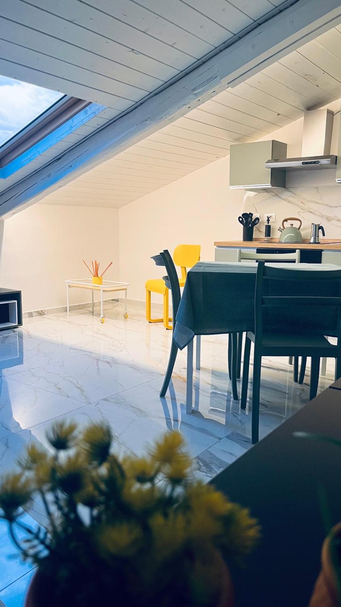 Sloping Roof Apartment *